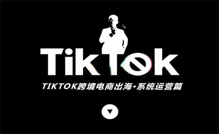 汤九两《TikTok跨境电商出海》